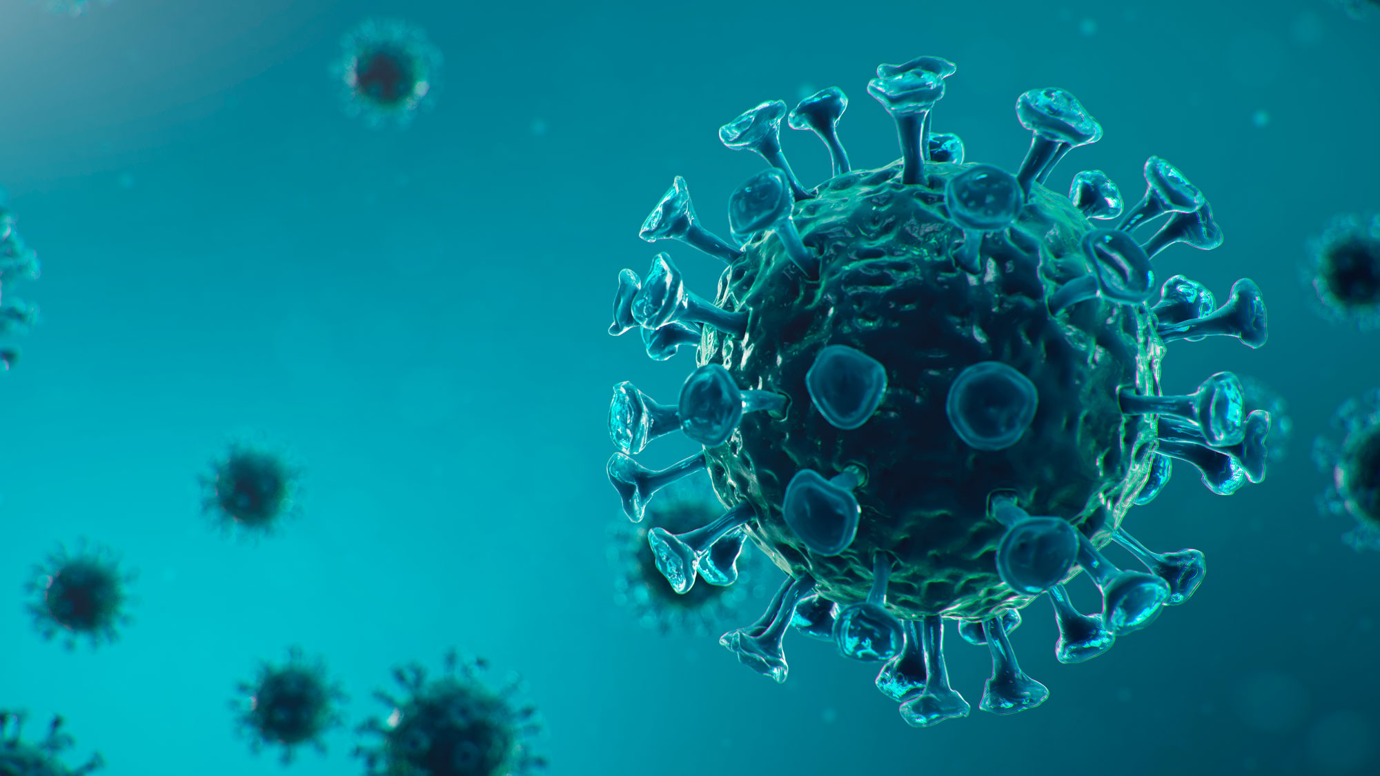 Coronavirus